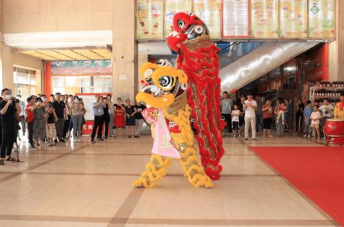 現(xiàn)代聯(lián)合集團旗下浙江食品市場全新板塊 現(xiàn)代日用百貨城 7月30日亮相